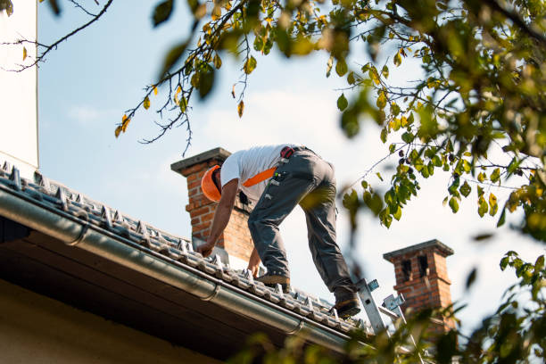 Best Flat Roof Repair Services  in Purcellville, VA